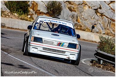 E1 Italia slalom Peugeot 205 1900 gti