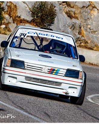 E1 Italia slalom Peugeot 205 1900 gti