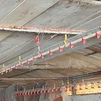 Abbeveratoio automatico per capannone avicoli