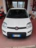 fiat-panda-1-0-firefly-s-s-hybrid