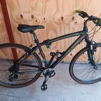 Lombardo Amantea 100