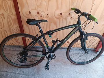 Lombardo Amantea 100