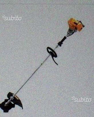 Decespugliatore tagliaerba