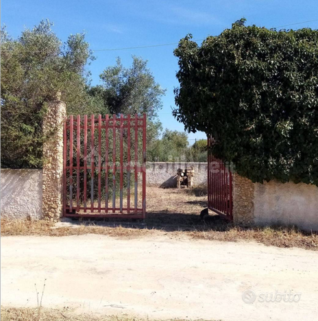 Terreno edificabile Marinella di Selinunte