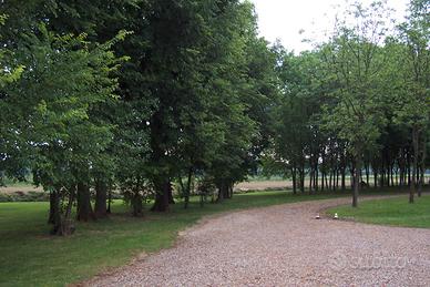 Terreno edificabile a Cervignano -Strassoldo
