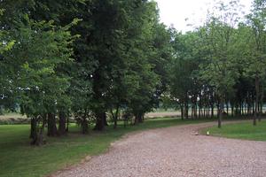 Terreno edificabile a Cervignano -Strassoldo