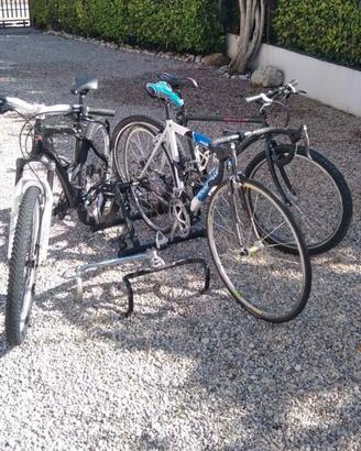 🚲 LOTTO 3 BICICLETTE – MTB + BICI DA CORSA PINARE