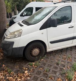 Jumpy scudo