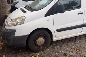 Jumpy scudo