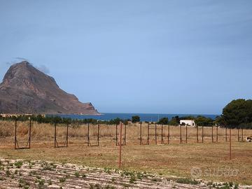 Terreno San Vito Lo Capo