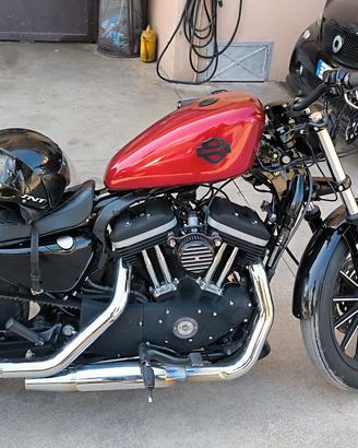 Harley Davidson Sporster 883 Iron