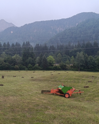 Fieno di montagna in ballette