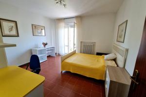 Stanza SINGOLA CARPI