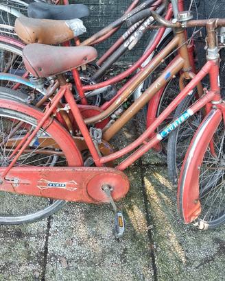 bici stok