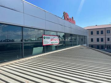 NEGOZIO A CAMPAGNA LUPIA