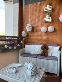 Salottino da giardino in Raitan