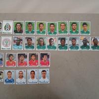 Figurine Panini World Cup South Afrika 2010
