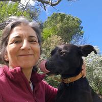 Una nuova famiglia per APOLLO