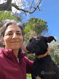 Una nuova famiglia per APOLLO