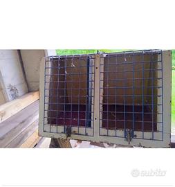 Cassetta per cani