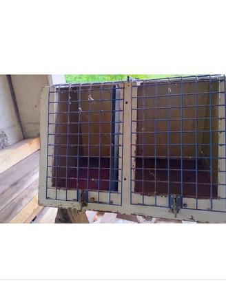 Cassetta per cani
