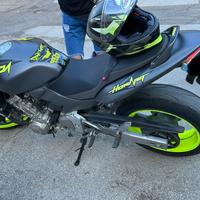 Hornet 600