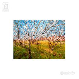 Dipinto su tela 76×100