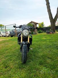 Honda Hornet 