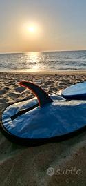 Pinna longboard 10.0