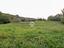 Immagine 8