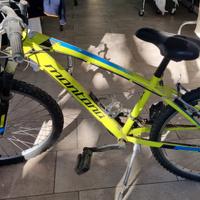 bici mountain bike  da ragazzo montana 