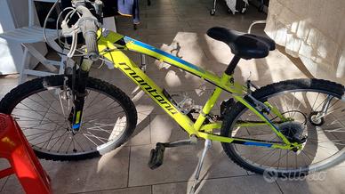 bici mountain bike  da ragazzo montana 