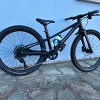 specialized riprock 24