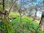 Immagine 28