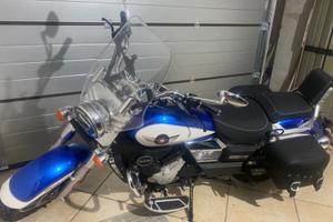 UM Renegade Commando 300 - 2024