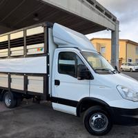 Iveco Daily Trasporto animali vivi patente B 2015