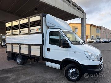 Iveco Daily Trasporto animali vivi patente B 2015