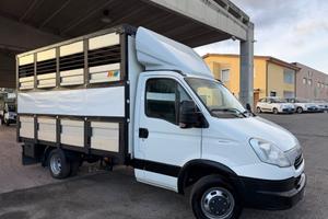 Iveco Daily Trasporto animali vivi patente B 2015