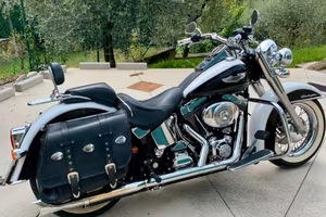 Harley softail 1450