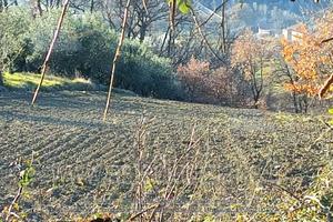 Terreno Agricolo Farindola [A4330879]