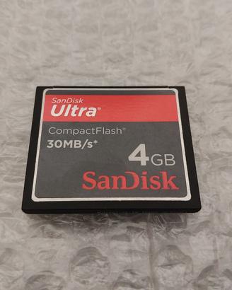 Commodore Amiga CF Card 4GB OK