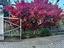 Immagine 15