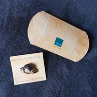 Spilla Angioletto Thun club