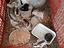 Immagine 3