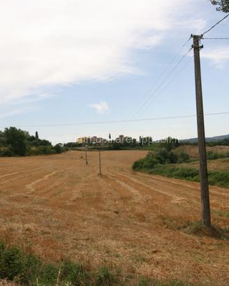 TR81 - Sinalunga terreno di 3 ha 9290 metr