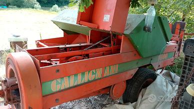 pressa ballette gallignani