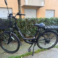 Bicicletta elettrica