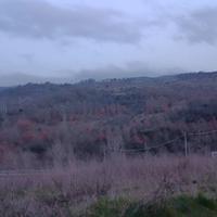 Azienda Agricola di 60 Ettari