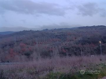 Azienda Agricola di 60 Ettari