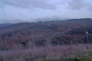 Azienda Agricola di 60 Ettari
